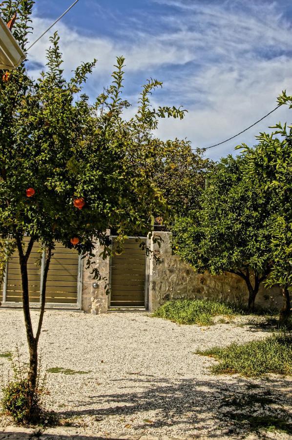 Unity Villa Andipáta Екстериор снимка